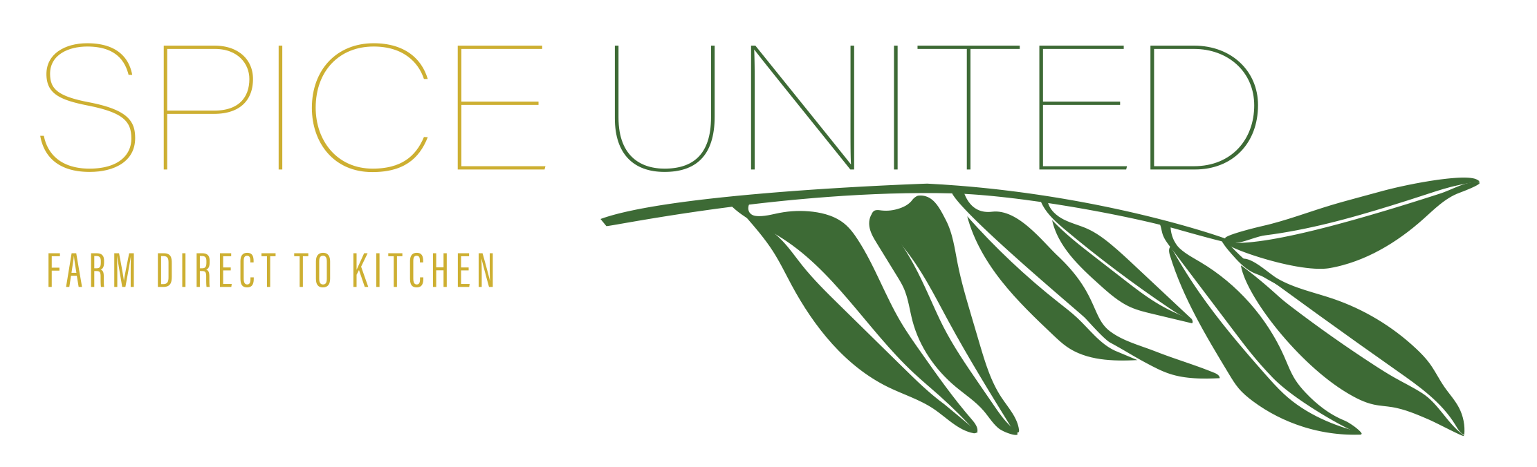 Footer Logo